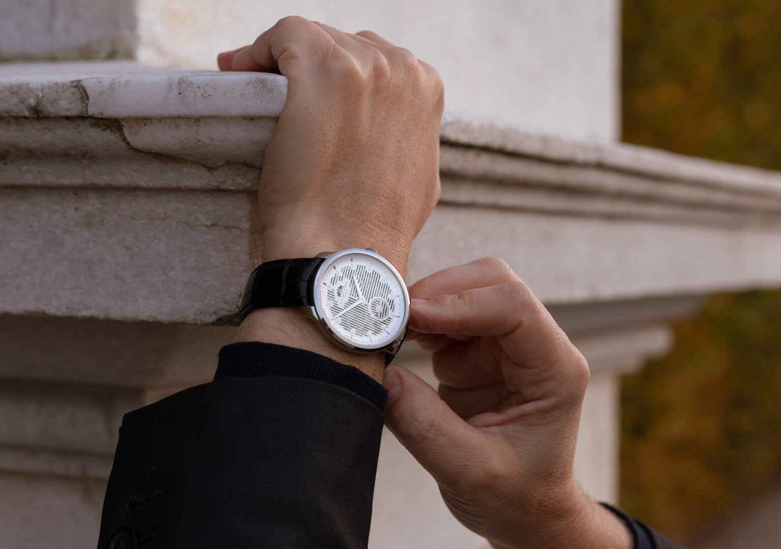 Waltz N°1 Skeleton - Carl Suchy & Söhne – Webshop – Order Online